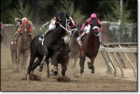 Afleet Alex Preakness