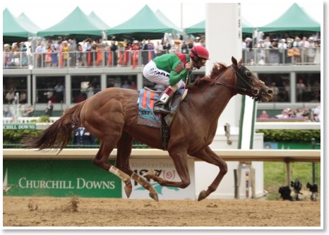 animal-kingdom-derby-finishline-mctjpg-a4efd18bfab9c946-450x317