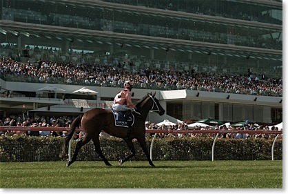 Black-Caviar-filtered