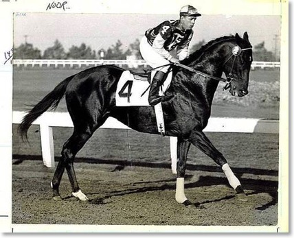 tumblr_mmr5jwhZHH1rso7rro1_500